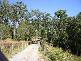 Pimpama QLD 4209