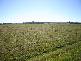 Alberton QLD 4207
