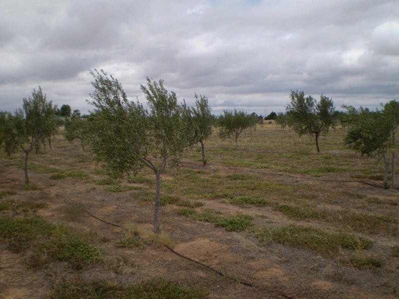 Lot 703 Bailey Road West, Two Wells SA 5501