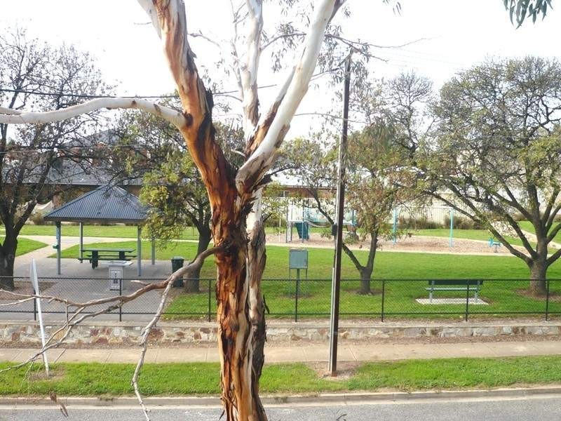 42 Athol Avenue, Blair Athol SA 5084