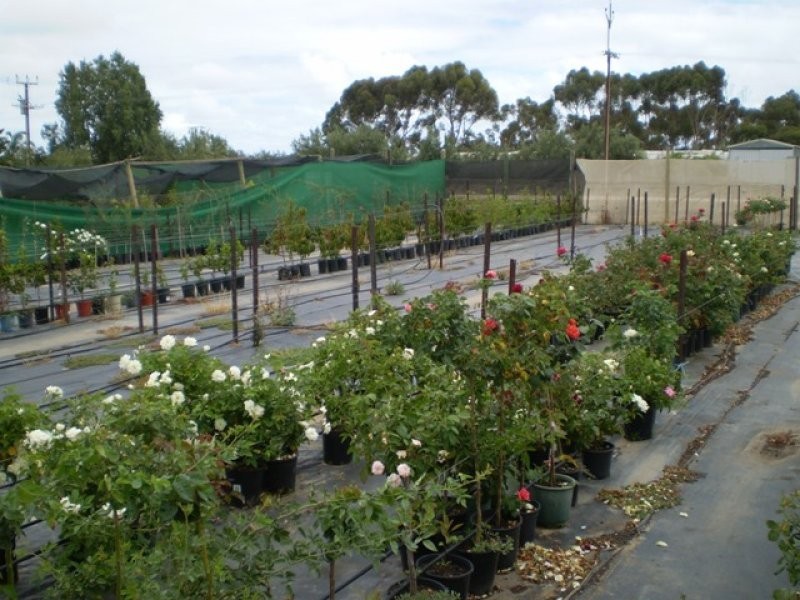 Lot 702 Fertile Avenue, Two Wells SA 5501