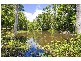 253 Palmvale Road, Palmvale NSW 2484