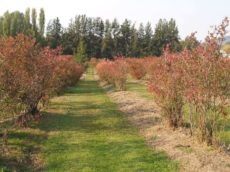 219 Lower River Road West, Gapsted VIC 3737