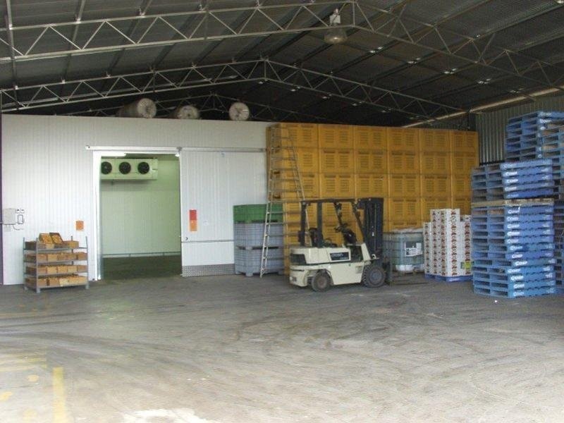 203 Long Lake Road, Lake Boga VIC 3584