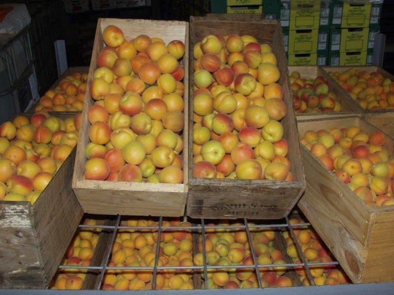 203 Long Lake Road, Lake Boga VIC 3584