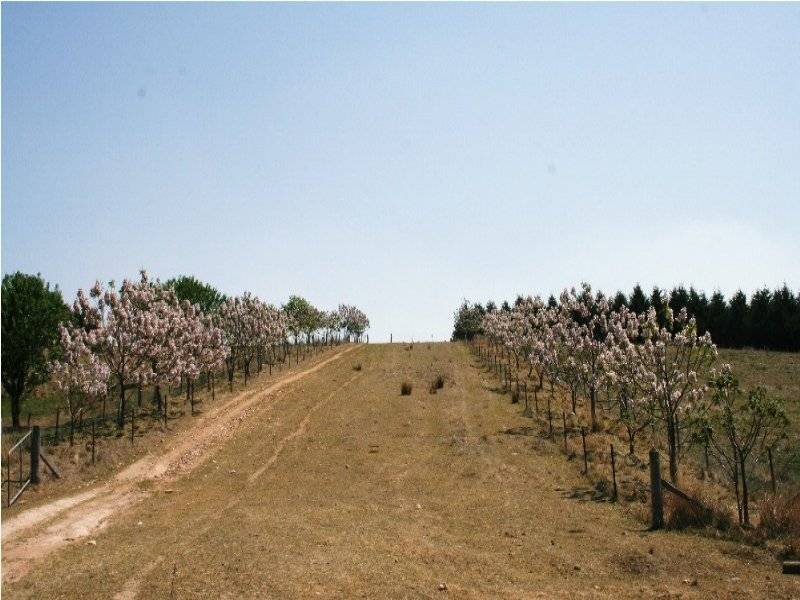 158 Purdens Lane, O’connell NSW 2795