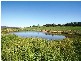 469 Nunans Hill Road, Oberon NSW 2787