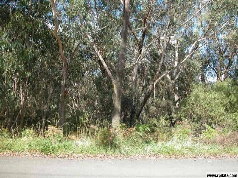 53 Wilson Street, Katoomba NSW 2780