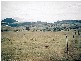 Derrymore QLD 4352