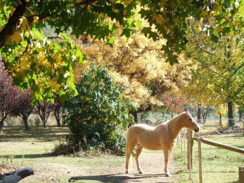 20 Hughes Lane, Eurobin VIC 3739