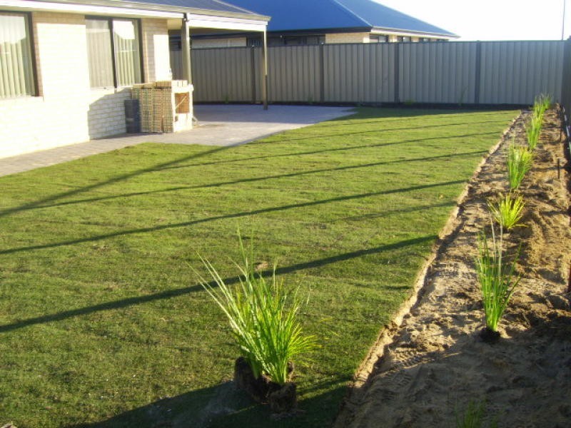 10 Galena Brace, Baldivis WA 6171