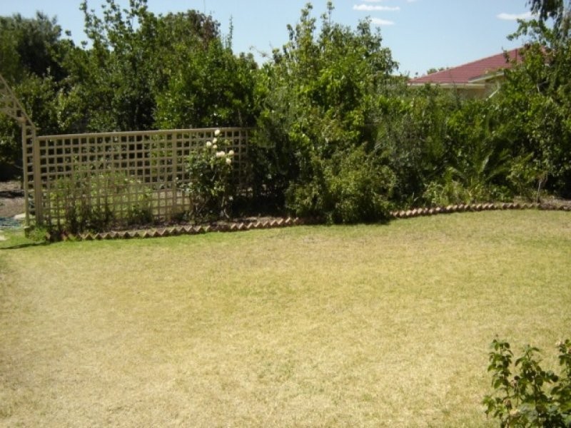 12 Cooke Street, Modbury SA 5092