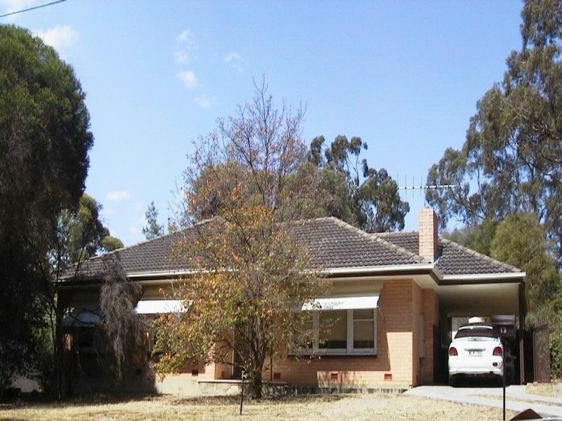 13 Telethon Avenue, Athelstone SA 5076