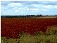Inverlaw QLD 4610