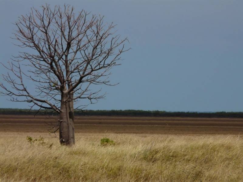 101b Rowan St, Derby WA 6728