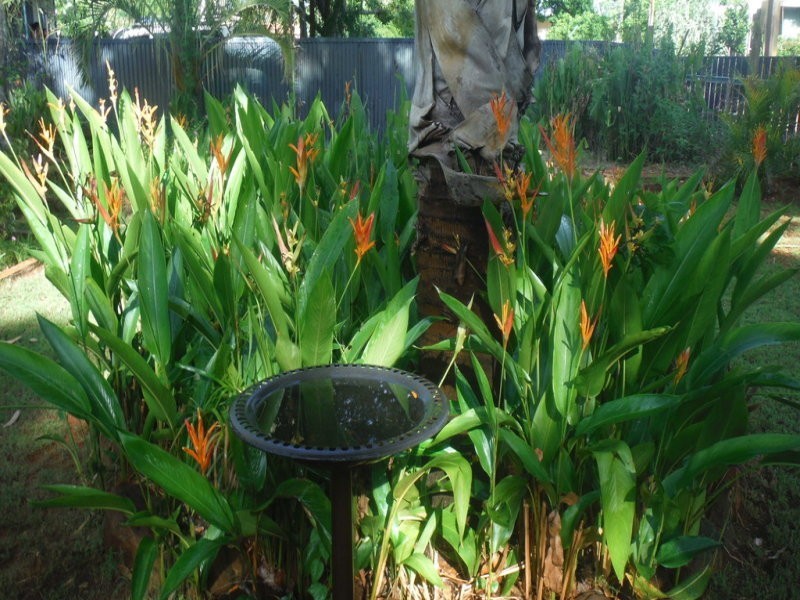 52 Durack, Derby WA 6728