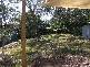 57 Leon St, Thorneside QLD 4158