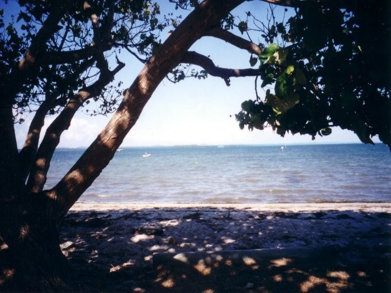 3 Haydon Crt, Victoria Point QLD 4165