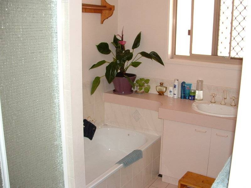 14 Estelle Street, Birkdale QLD 4159