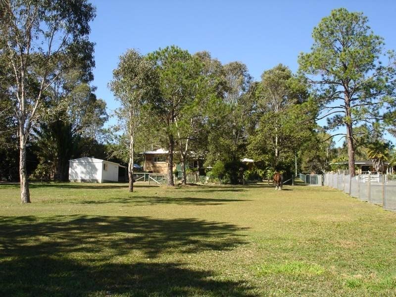 31 Jordan Street, Caloundra QLD 4551