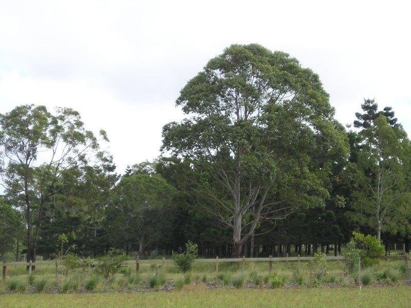 18 Rapanea Street, Meridan Plains QLD 4551