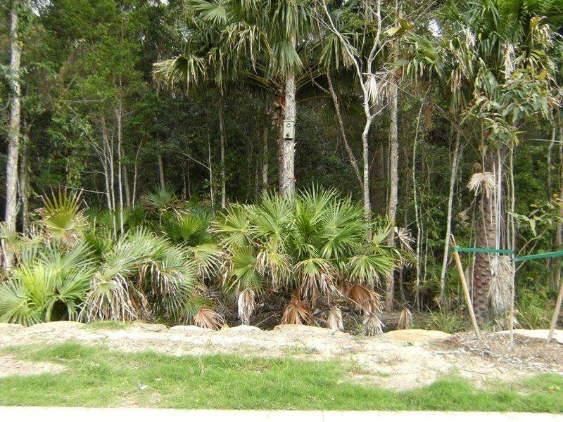 Lot 14 Byee Circuit, Aroona QLD 4551
