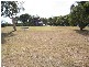 17 Cobar Street, Lota QLD 4179