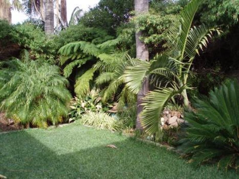 37 Allinson Drive, Girrawheen WA 6064