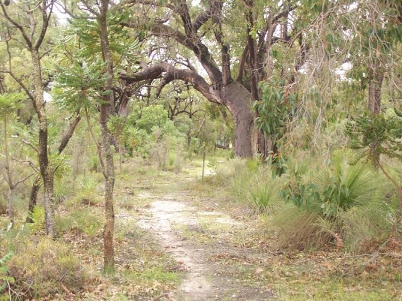 Lot 310 Patersonia Road, Chittering WA 6084