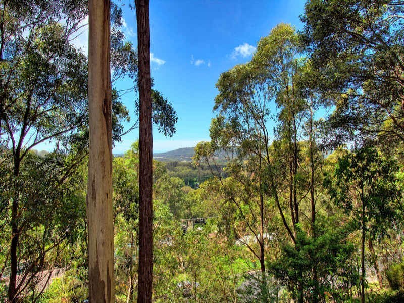 21 Alison Road, Springfield NSW 2250