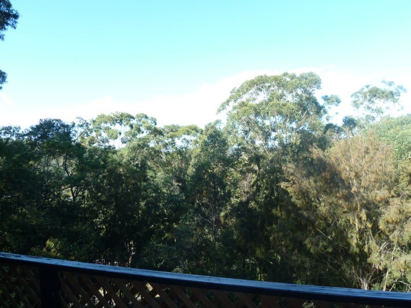 60 Waratah Street, East Gosford NSW 2250