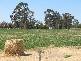 310B Barko Road, Iraak VIC 3494