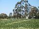 310B Barko Road, Iraak VIC 3494