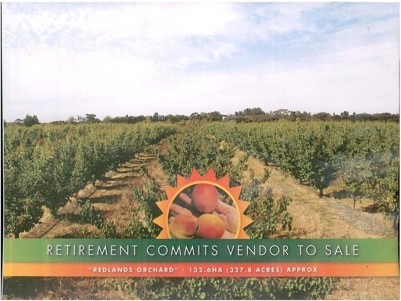 203 Long Lake Road, Lake Boga VIC 3584