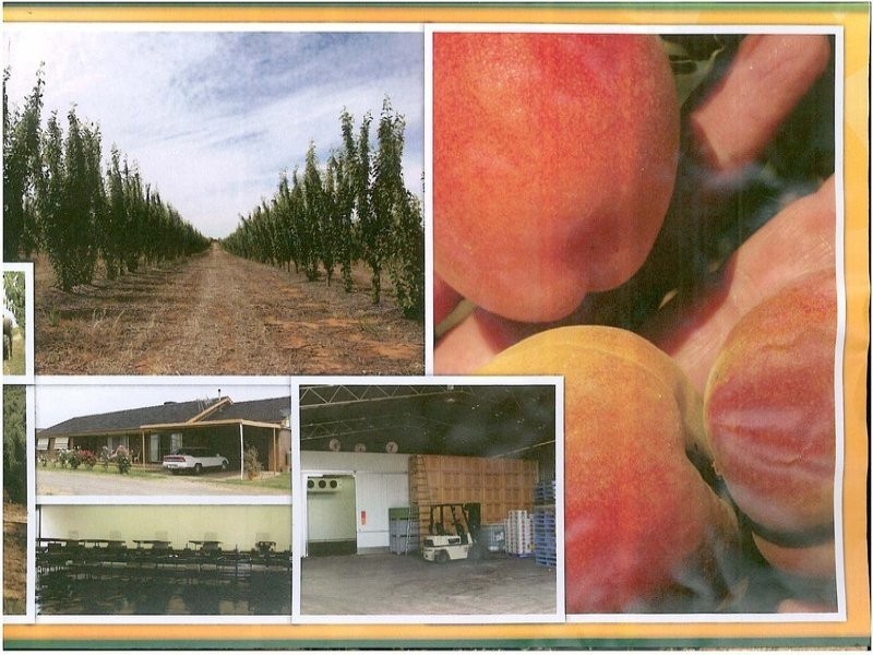 203 Long Lake Road, Lake Boga VIC 3584