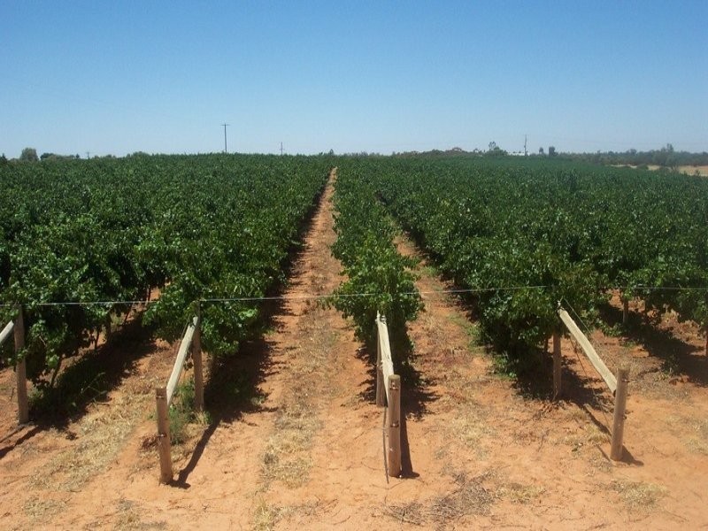 Lot 17 Sculthorpe Road, Nangiloc VIC 3494