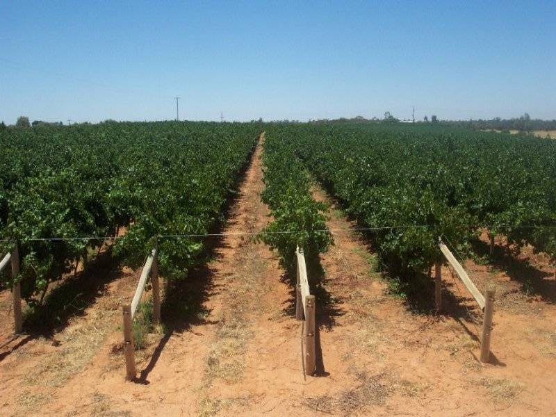 Lot 17 Sculthorpe Road, Nangiloc VIC 3494