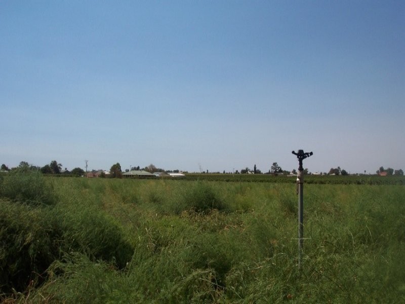 Birdwoodton VIC 3505