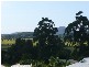 8 Countryview Court, Bli Bli QLD 4560