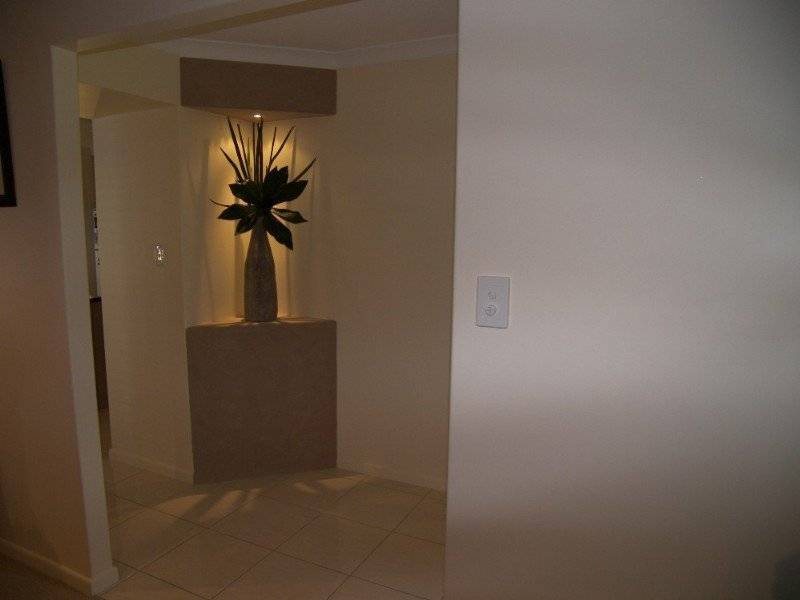 3 Treefern Terrace, Frenchville QLD 4701