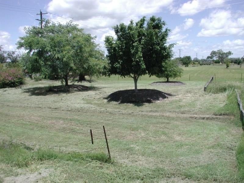 29 Mary Street, Nebo QLD 4742