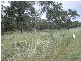 Lot 1 Bruce Highway, Clairview QLD 4741