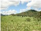 100 Whitaker Road, Sarina QLD 4737