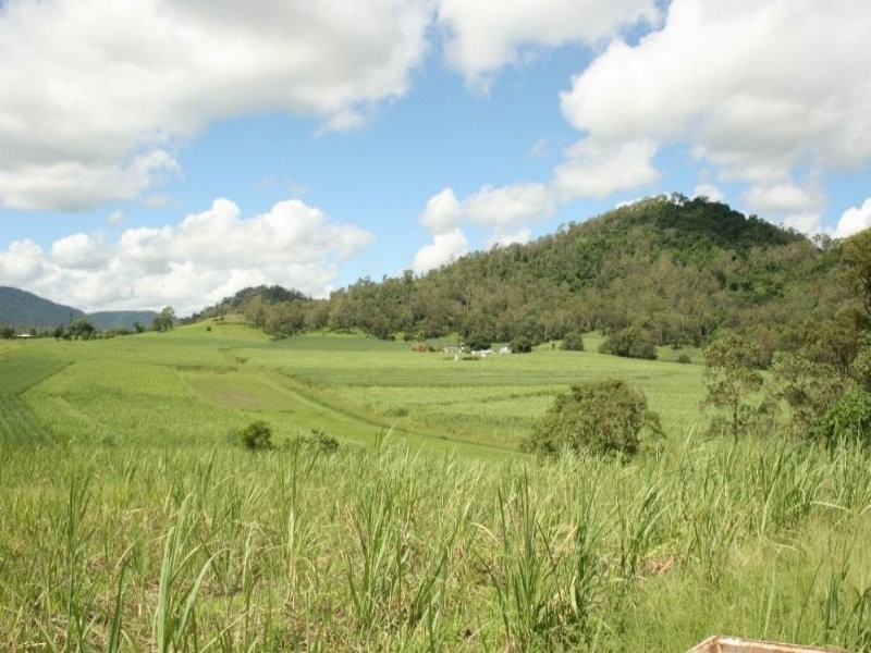 100 Whitaker Road, Sarina QLD 4737