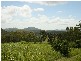 100 Middle Creek Dam Road, Sarina QLD 4737