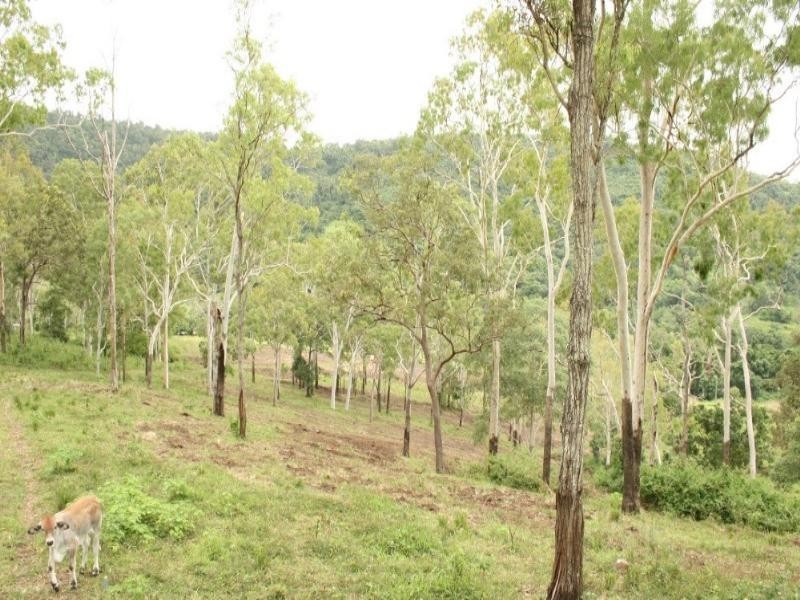 100 Middle Creek Dam Road, Sarina QLD 4737