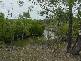 Abbotsford QLD 4670
