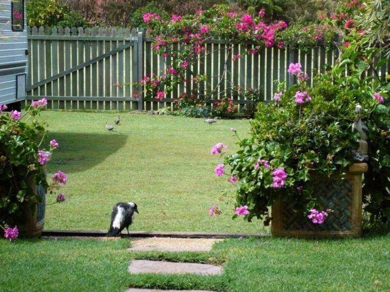 Abbotsford QLD 4670