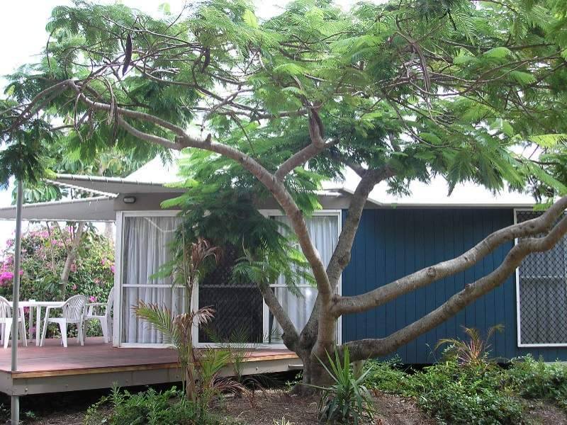Abbotsford QLD 4670
