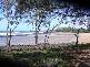 Abbotsford QLD 4670